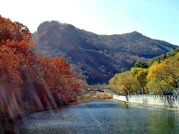 新澳天天开奖资料大全旅游团，泗水seo教程